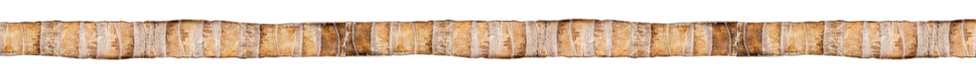 coconut-bark-banner.png