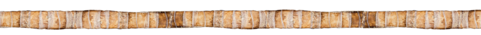 coconut-bark-banner.png
