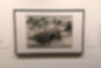 Lui Shou-Kwan's 'Cape D'SAguilar of Lei Yue Mun' at the Art Institute of Chicago