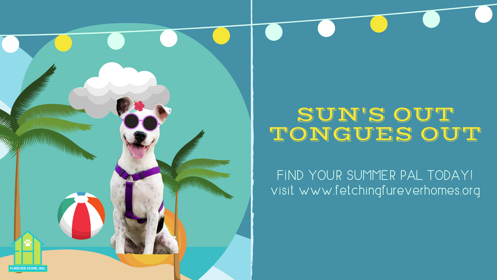 FurEver Home, Inc. Dog Rescue United States