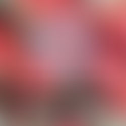 Weekly Messages - 22 May 2024