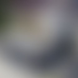 En México sólo 2 de cada 10 autos, son completamente seguros