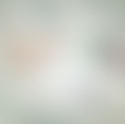 TIPOS DE LICENCIAS DE CONDUCIR EN CDMX 2022