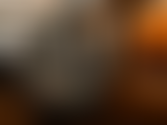 High-End Champagne Tasting and Launch in Private Venue - Seattle, WA