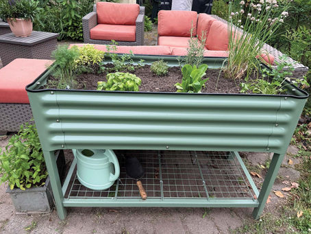 SPRINGING INTO SUMMER GARDENS