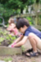 Ameer Azma, age 6, is securing a new planting. Photo by Julia Maloof Verderosa.