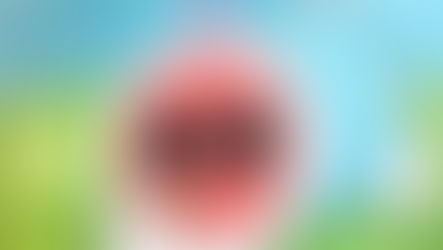 Dibujo: Campo de Hierba + Anuncio del sitio