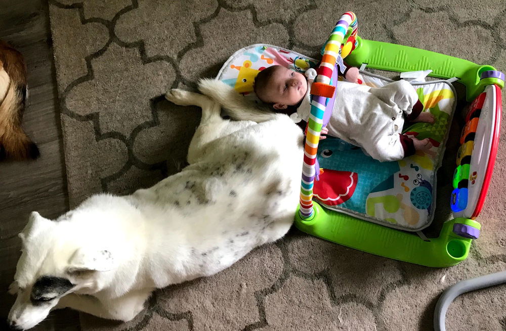 Best Toys for Visually Impaired Infant