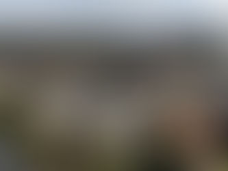 drone shot of houses in Brentford, London