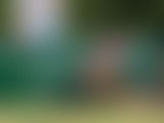 Mustangs Muster Two Hits, Drop 9-1 to Des Moines