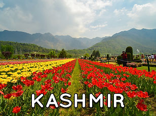 KASHMIR Web Cover.jpg