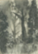 Wood, 1985