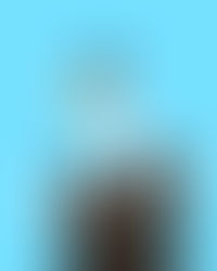 Porch-a-Geese are flying off the shelves!