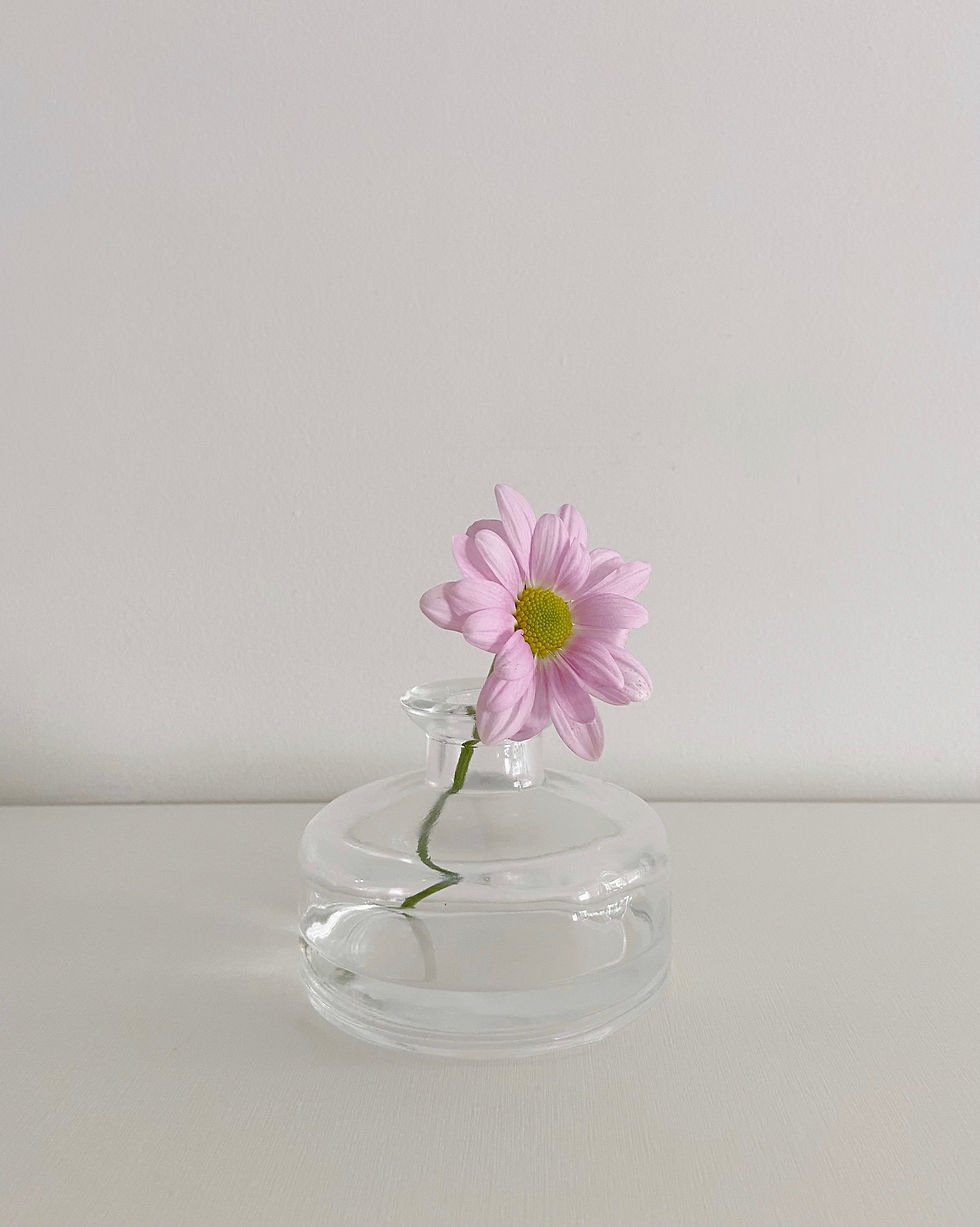 Miniatura: mini vaso solitário