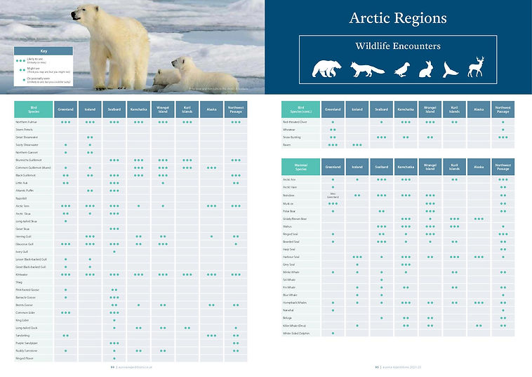 Arktis: Sichtungsmöglichkeiten der Wildtiere