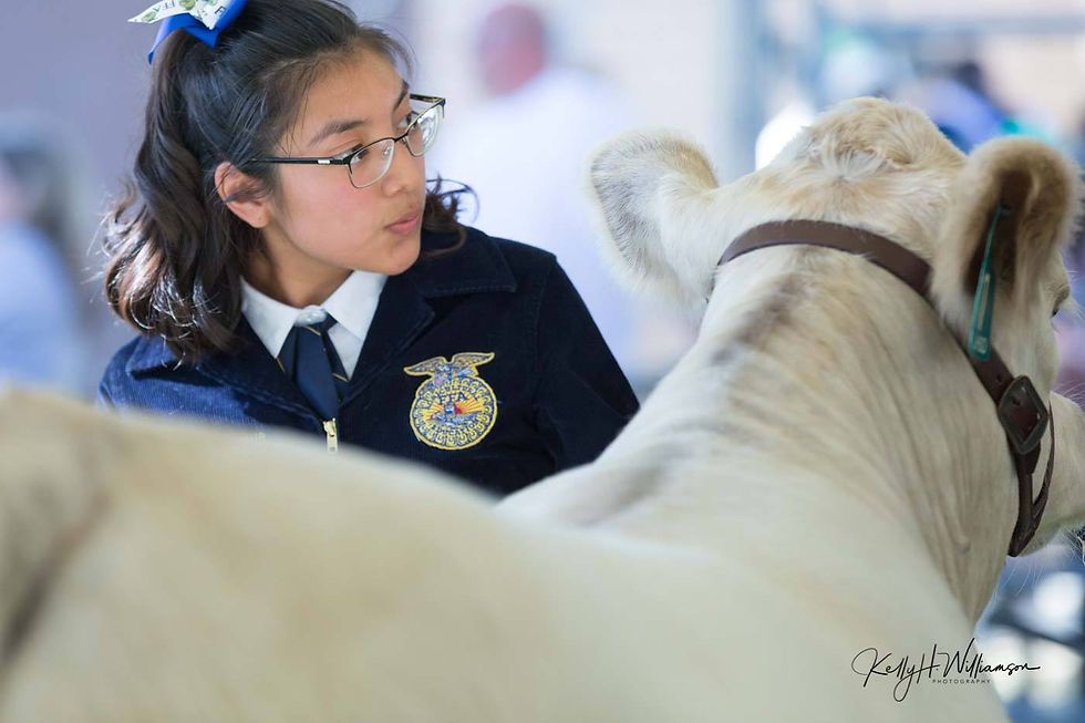 60635616_2068642700095774_51713209442909