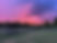 IMG_6778.JPEG
