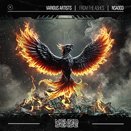 Neurosense - From The Ashes copyK.png