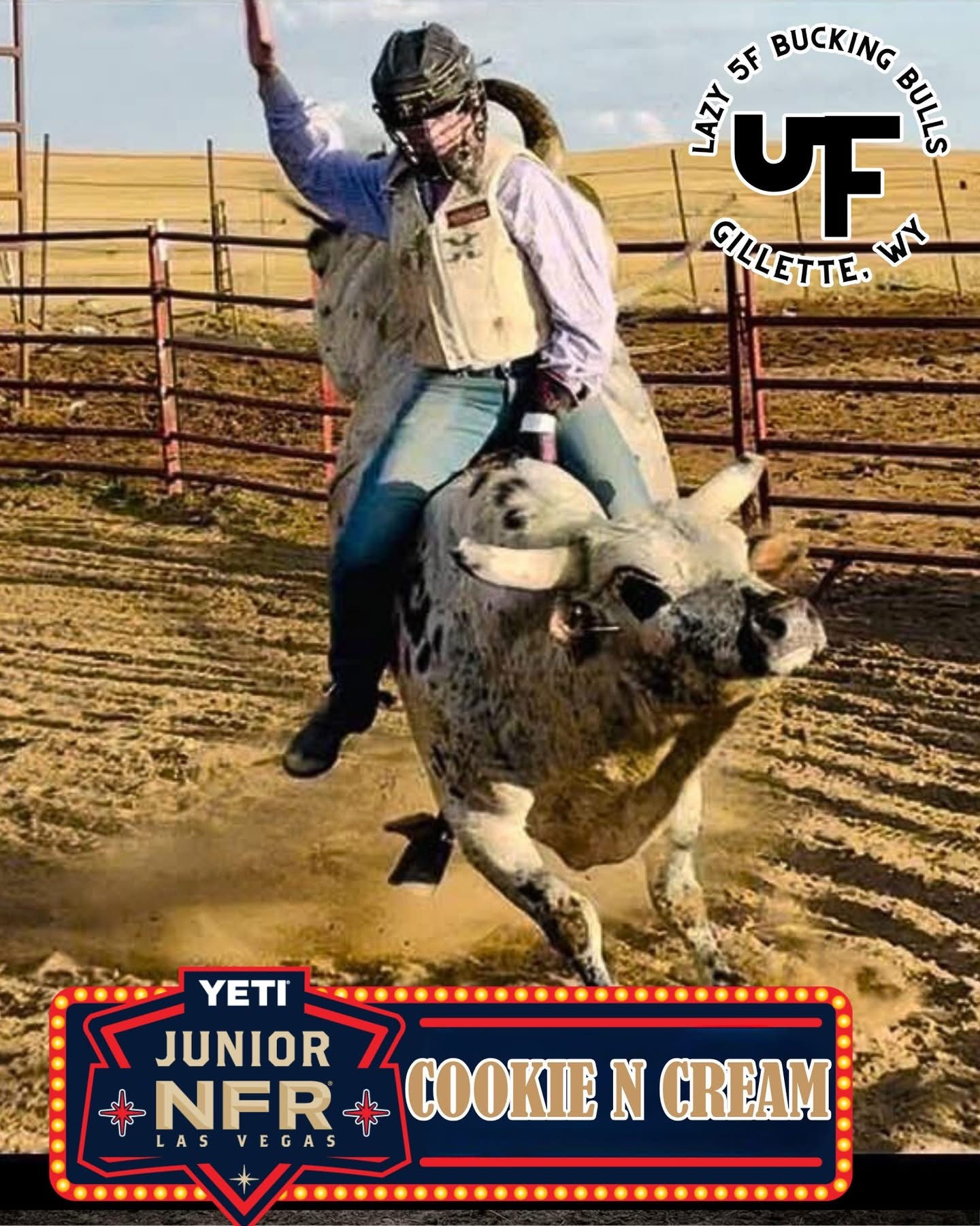 Cookie n Cream - Monthly Adopt a Bull