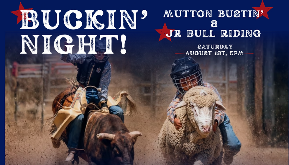 Buckin' Night Bull Riding - Sheridan, WY