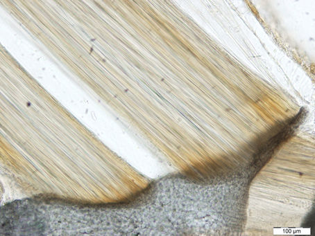 Article Published in Umiushi Tsushin