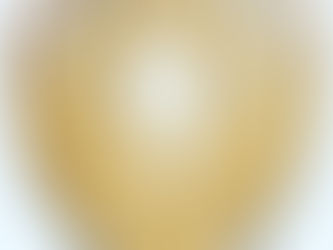 アカハナカミキリ腹部