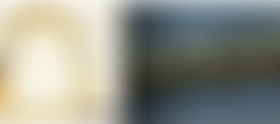 Trypoxylus dichotomus horn