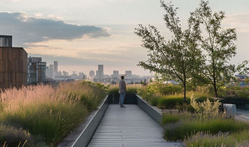 Rooftop Garden_edited.jpg