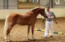 Schermafbeelding 2019-03-27 om 14.01.52.