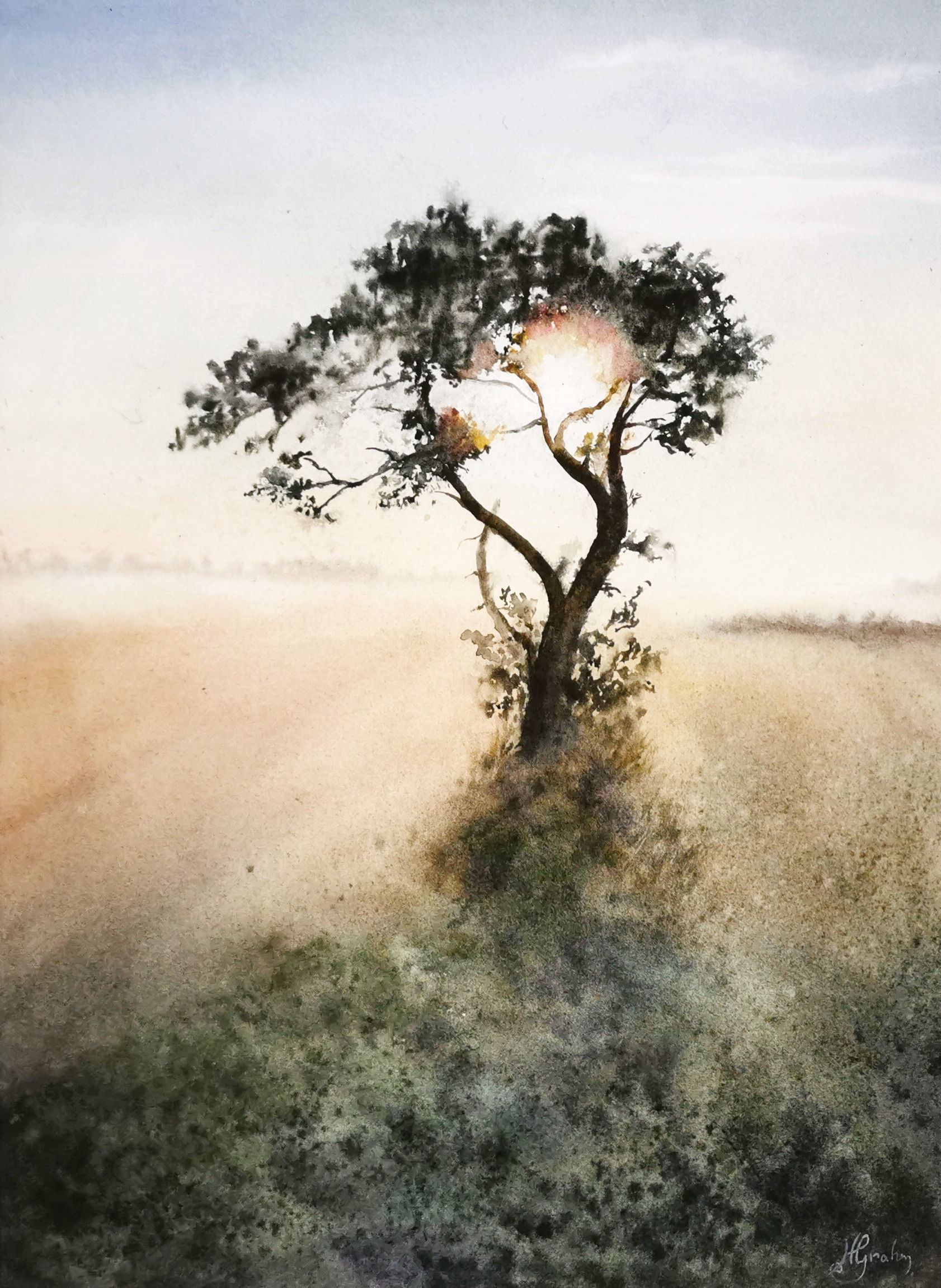 Trädet på fältet i motljus