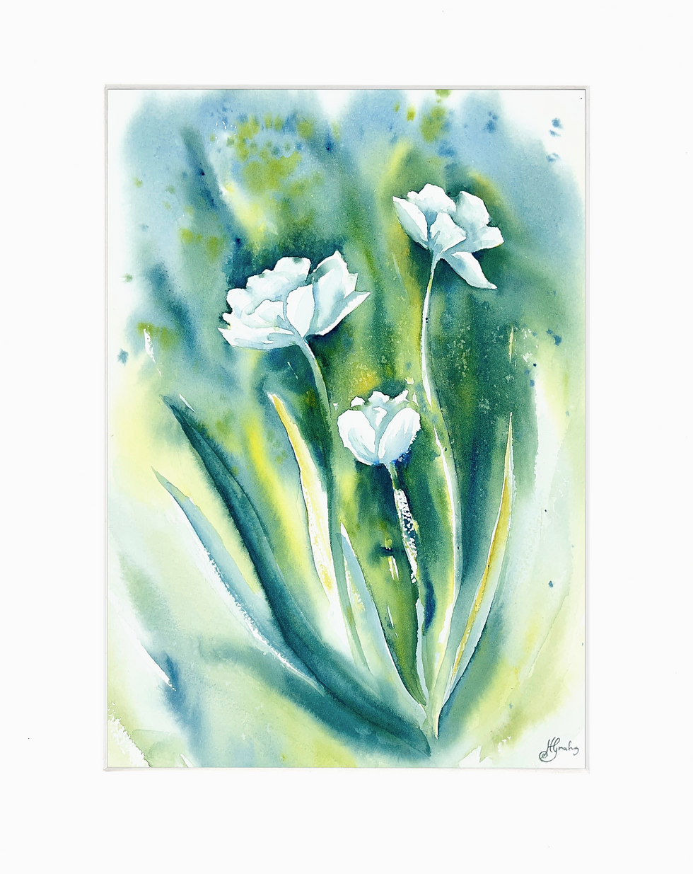 Miniatyrbild: Vita tulpaner