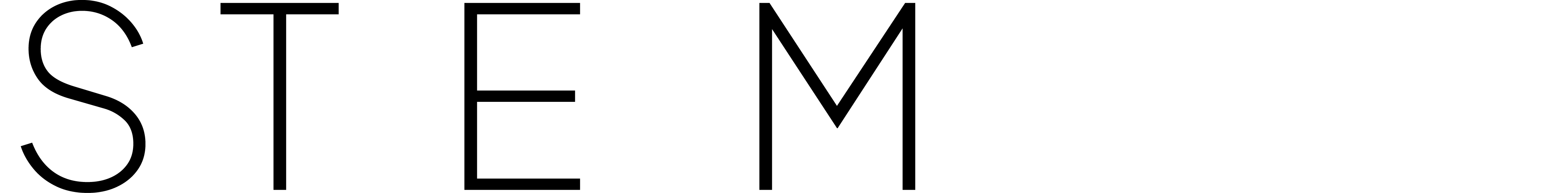 LOGO HEADER-STEM.png