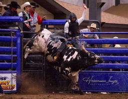 CPRA Finals Rodeo in Montrose Colorado on September 25th, 2026 captured by Heinemann Images