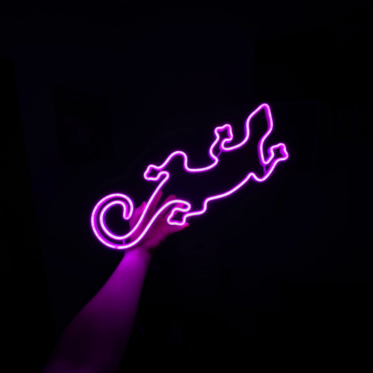 Lézard - Signe en néon LED