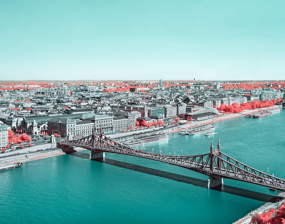 BUDAPEST COLOR FOR AMERICAN VARGA1