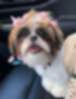 20190815_214937_edited