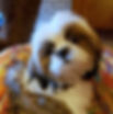 Tipsy_edited