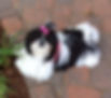 20190728_151943