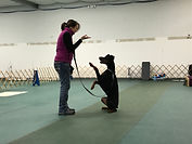 IMG_3792.jpeg