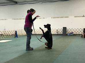 IMG_3792.jpeg