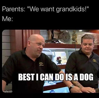 Grandogs meme.JPG