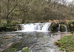 IMG_1856.jpg