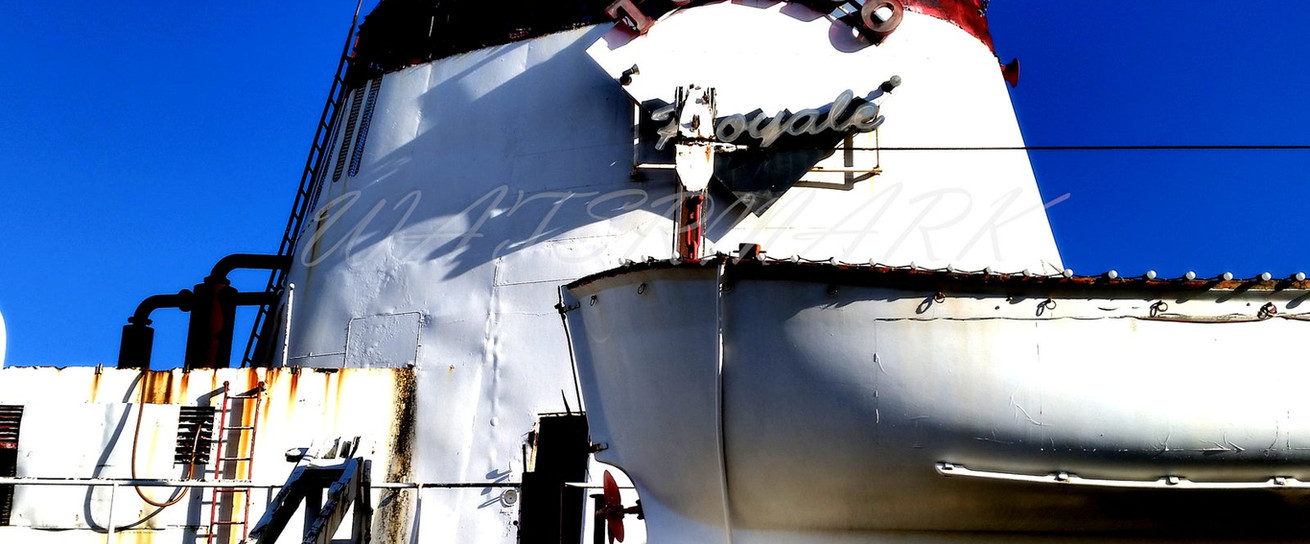 Photo 22 - Tuxedo Royale Funnel