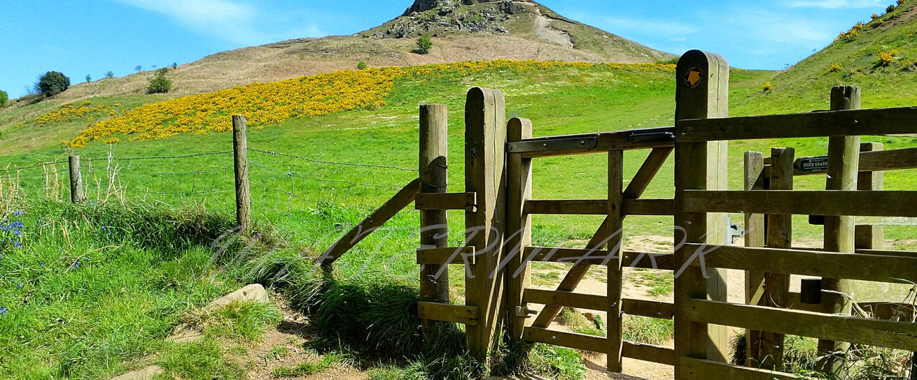 Photo 14 - The Gate