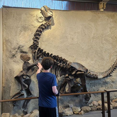 Dinosaur Monument, UT
