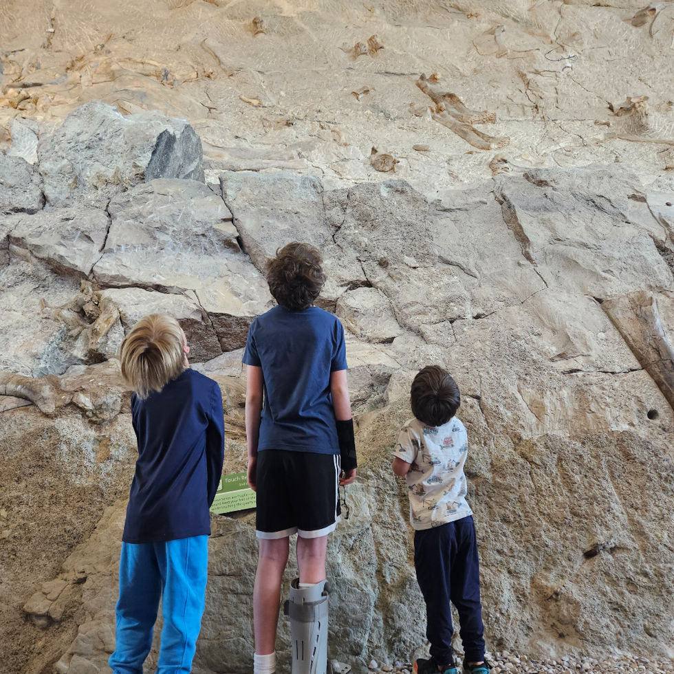 3 kids looking up at a Dinosaur fossilized wall