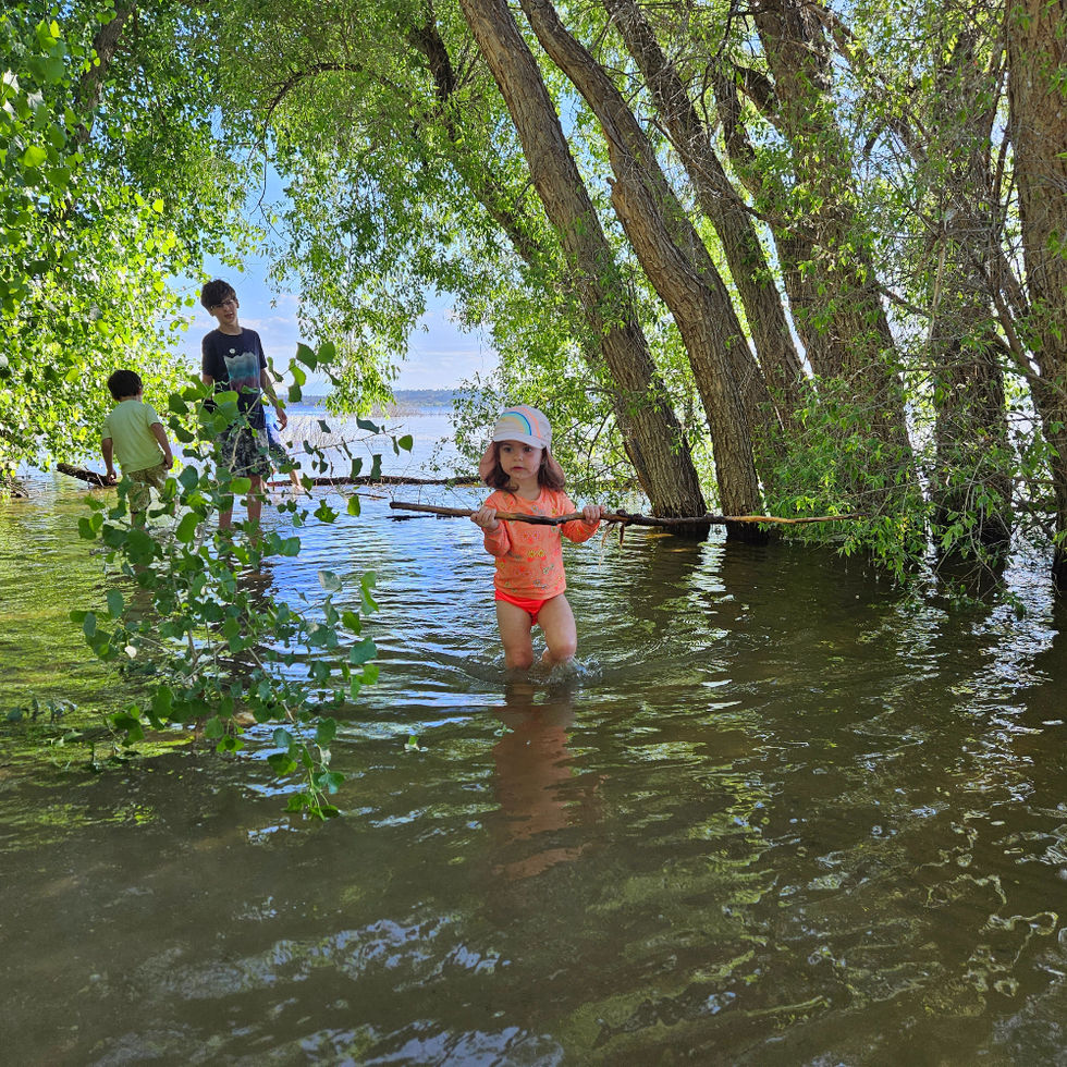 3 kids walking in shallow waters shaded by water plants on both sides, in the quiet waters of a lake