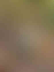 Laughing together on the Oxbow Loop Trail, Denali National Park