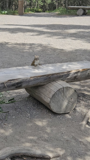 Laughing together on the Oxbow Loop Trail, Denali National Park