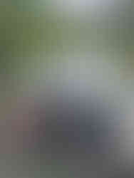 Laughing together on the Oxbow Loop Trail, Denali National Park